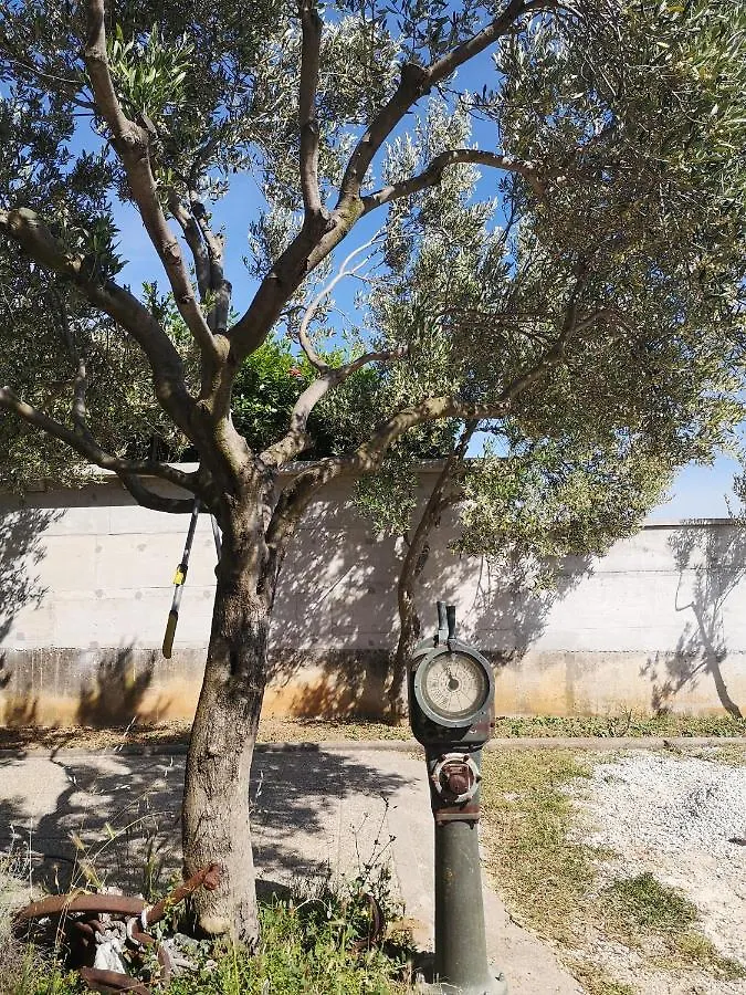 Apartman Dubravko Tribanj Starigrad Paklenica