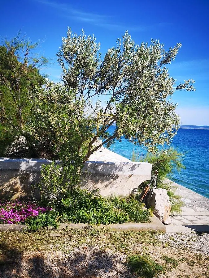 Apartment Apartman Dubravko Tribanj Starigrad Paklenica